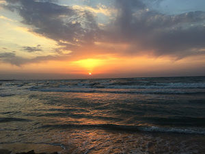 Meet your Posher, Gunay